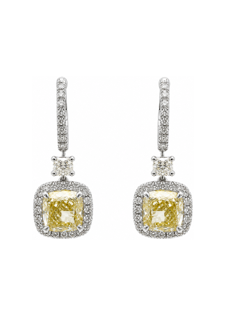 Earrings Crivelli Solitaire crv White Gold, Yellow Gold