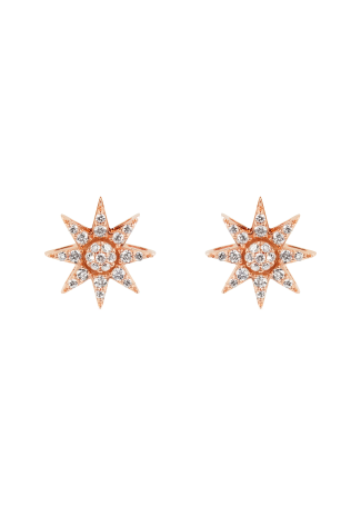 Серьги Bee Goddess Venus Star Розовое золото