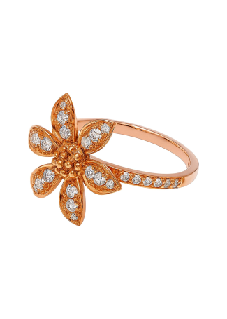 Кольцо CarlaAmorim Babiana Розовое золото