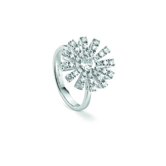 Damiani Кольцо Damiani Margherita Белое золото