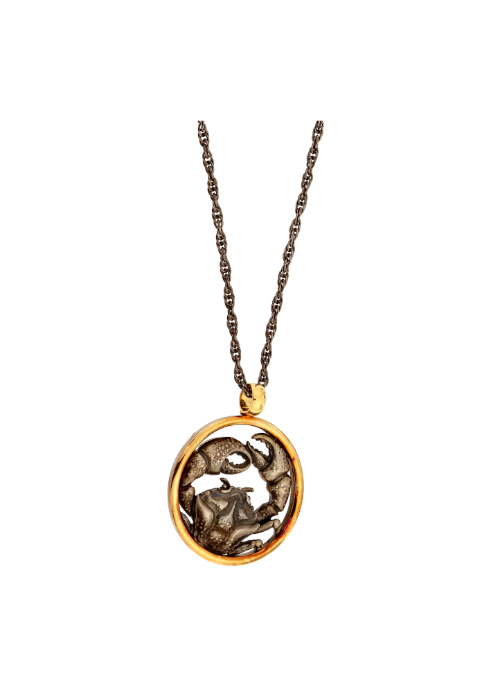 Купить Колье CarreraYCarrera Zodiac Желтое золото – премиальные ZhannaKanGroup