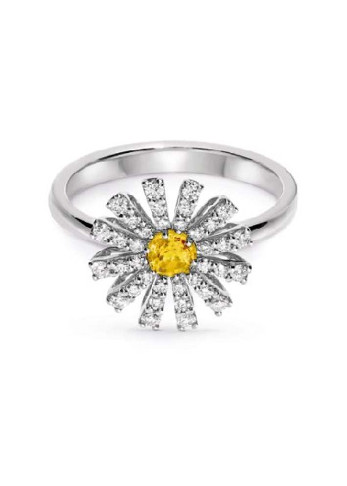 Buy Ring Damiani Margherita Yellow Gold, White – premium rings by ZhannaKanGroup
