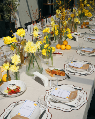 Купить Плейсмат ZardoziHome Синтетическая ткань Leona – премиальные текстиль ZhannaKanGroup