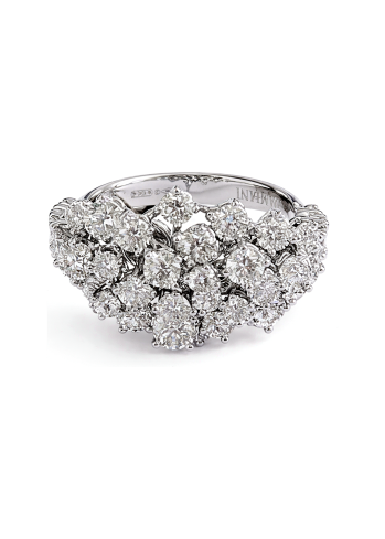 Купить Кольцо Damiani Mimosa Белое золото – премиальные кольца ZhannaKanGroup