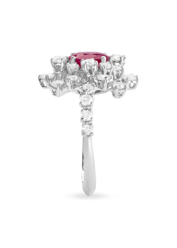 Купить Кольцо Damiani Mimosa Белое золото – премиальные кольца ZhannaKanGroup